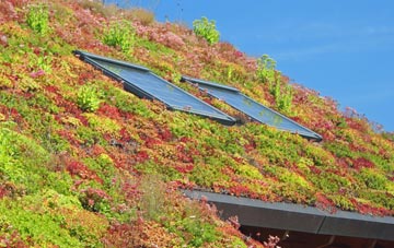 Drury Lane living roof systems