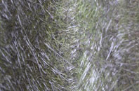 Drury Lane fibreglass roof work